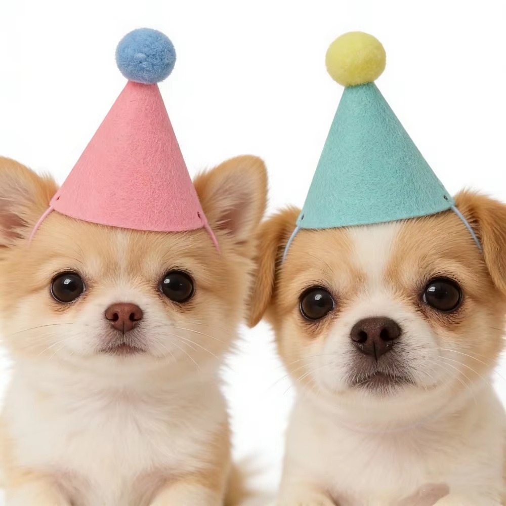6/12 шт. милых мини-шляпок для – обзор и цена Party Hat Cone